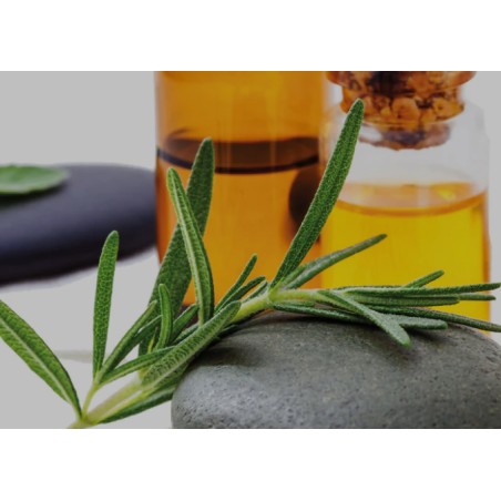 Sérum autobronzant vitaminé 30ml PERFECT BRONZE🍃Le BAP