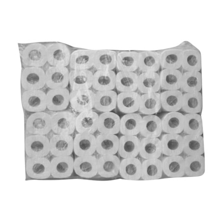 Papier toilette blanc ECOLABEL - 2 plis - pack de 96 rouleaux