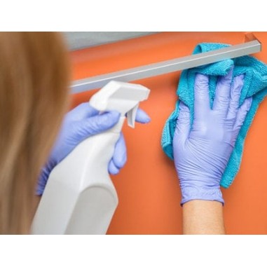 Spray désinfectant médical 750ml PAE sans rinçage