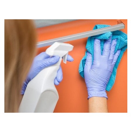 Spray désinfectant médical 750ml PAE sans rinçage