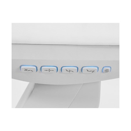 Fauteuil électrique LAPIS